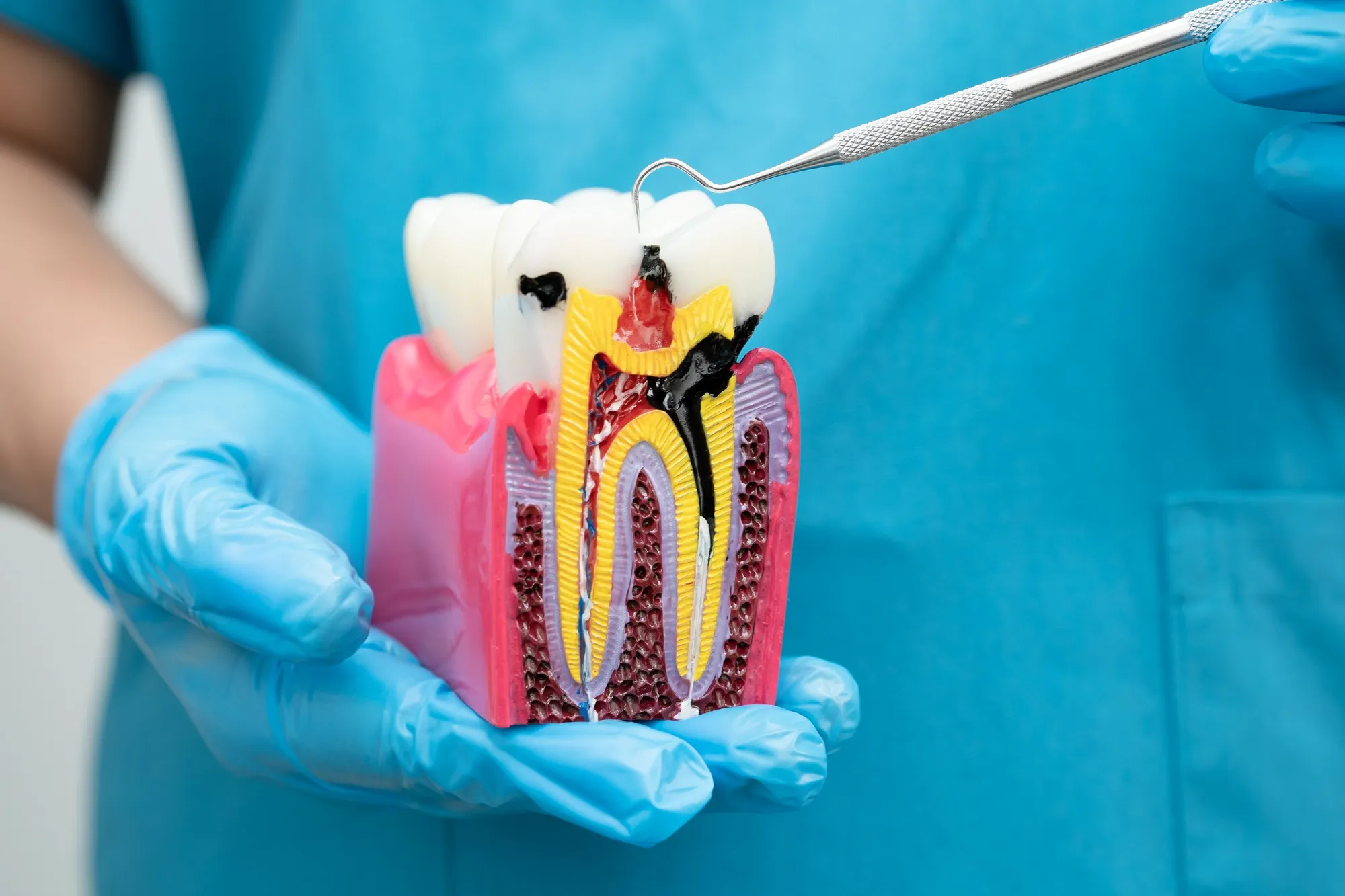 Routine Dental Exam